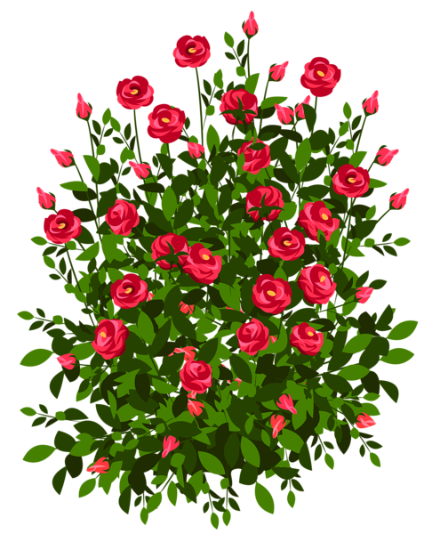 This png image - Red Rose Bush PNG Clipart Picture, is available for free download