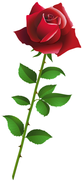 Red Rose Cartoon Style PNG Clipart | Gallery Yopriceville - High