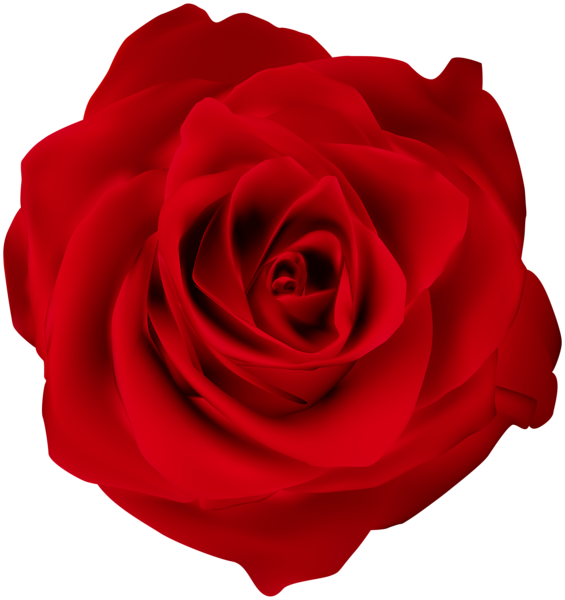 Red Rose Clip Art Image | Gallery Yopriceville - High-Quality Free ...
