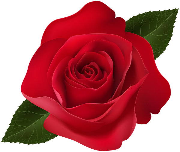 This png image - Red Rose Clip Art PNG Image, is available for free download