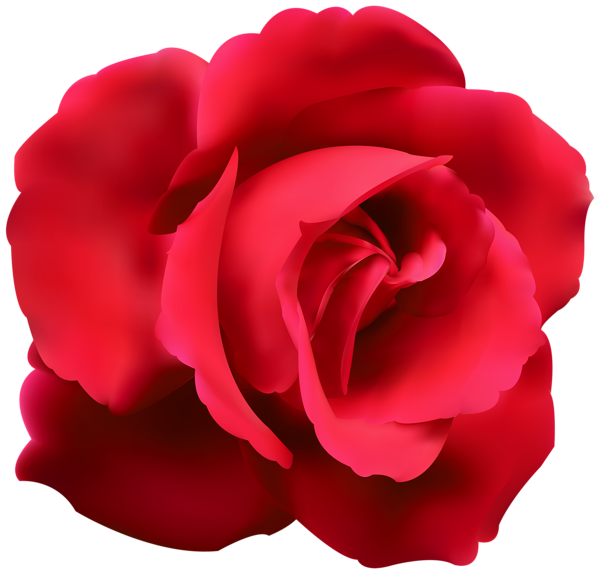 Red Rose Clip Art PNG Image  Gallery Yopriceville  HighQuality Images and Transparent PNG 