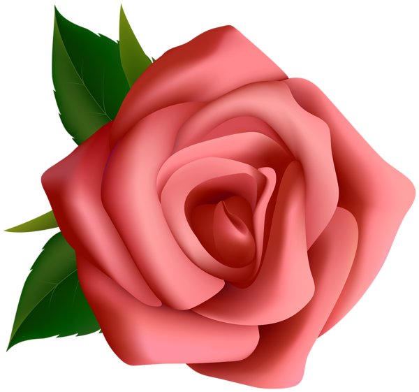 This png image - Red Rose Clipart PNG Image, is available for free download