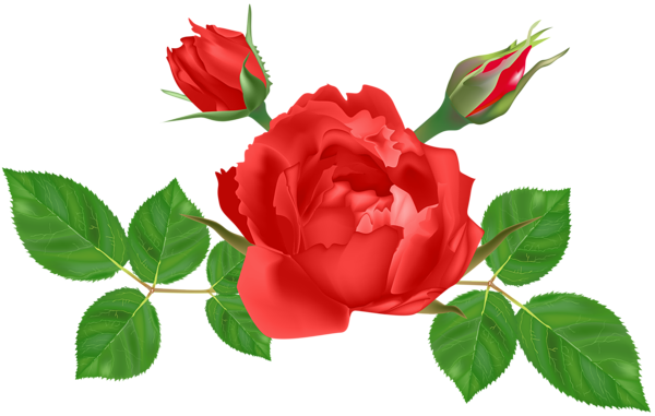 This png image - Red Rose Deco PNG Clip Art Image, is available for free download