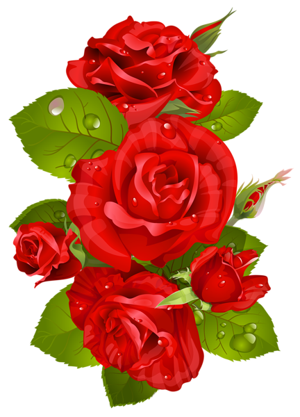 41+ Red Rose Flower Bouquet Png Gif