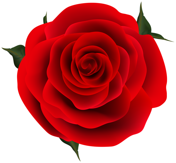 This png image - Red Rose Decorative Clip Art, is available for free download