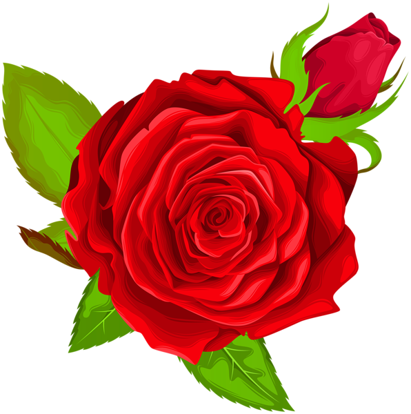 This png image - Red Rose Decorative PNG Clip Art Image, is available for free download