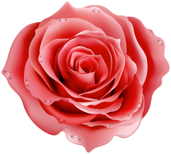 This png image - Red Rose Decorative Transparent Image, is available for free download