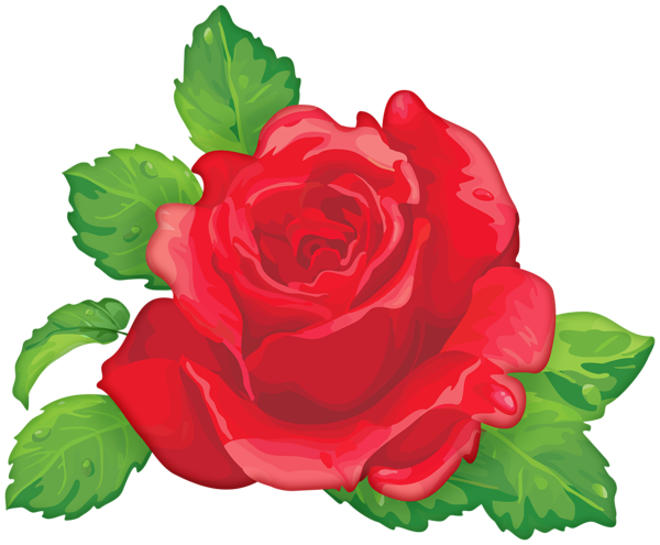This png image - Red Rose Decorative Transparent Image, is available for free download