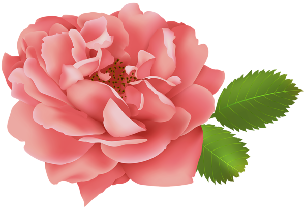 This png image - Red Rose Flower Bush PNG Clip Art Image, is available for free download