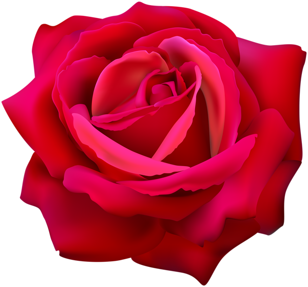 This png image - Red Rose Flower Clip Art Image, is available for free download