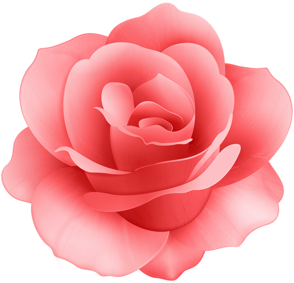 This png image - Red Rose Flower Clip Art Image, is available for free download