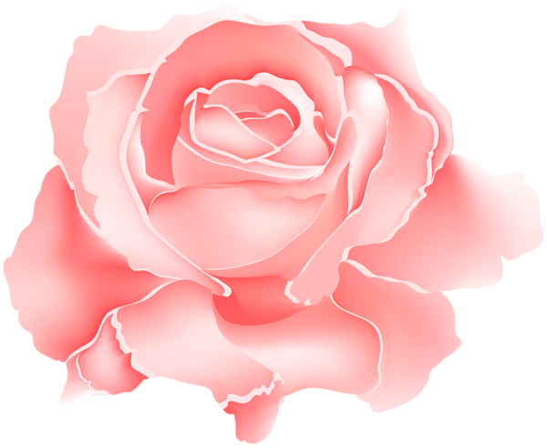 This png image - Red Rose Flower PNG Clipart, is available for free download