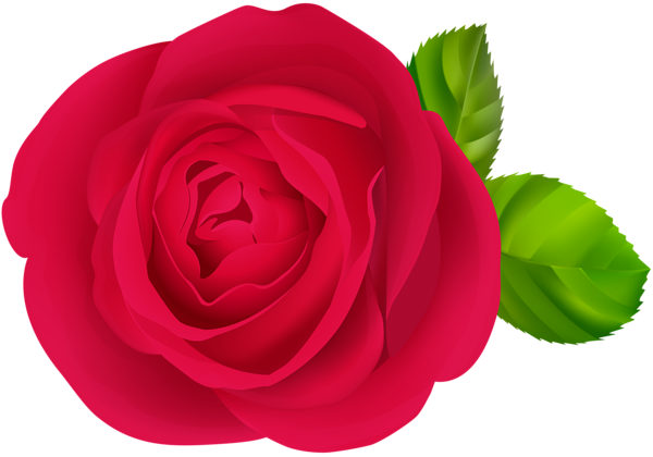 This png image - Red Rose Flower PNG Clipart, is available for free download