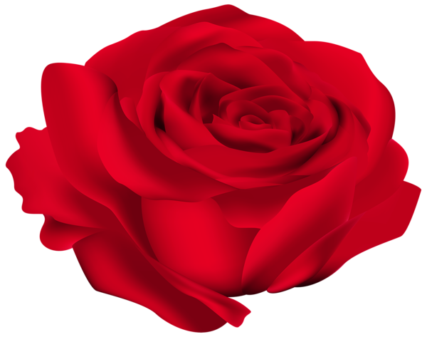 This png image - Red Rose Flower PNG Image, is available for free download