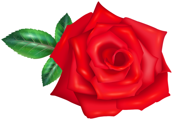 This png image - Red Rose Flower Transparent PNG Image, is available for free download
