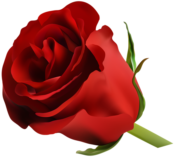 This png image - Red Rose PNG Clip Art Image, is available for free download