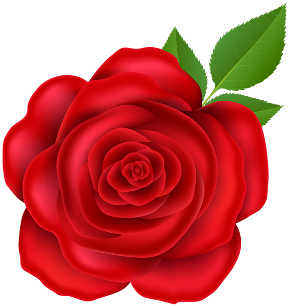 This png image - Red Rose PNG Clip Art Image, is available for free download