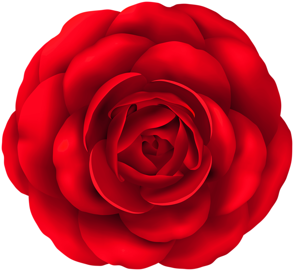 Red Rose PNG Flower Clipart | Gallery Yopriceville - High-Quality Free ...