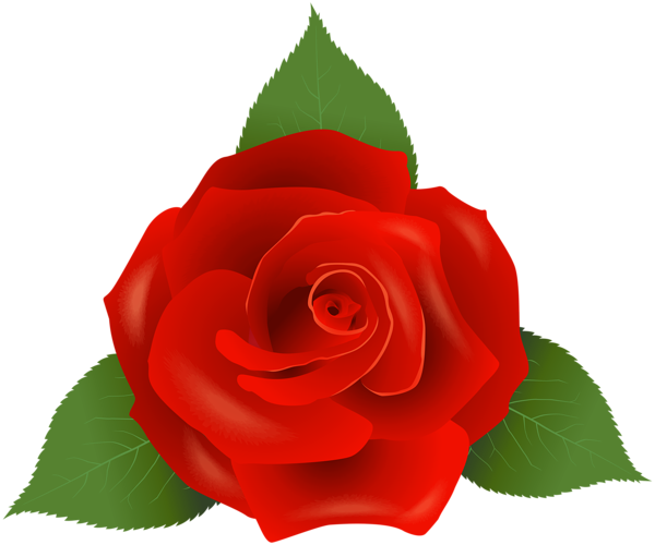 This png image - Red Rose PNG Image, is available for free download