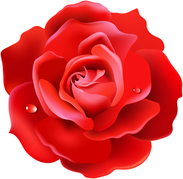 This png image - Red Rose PNG Image, is available for free download