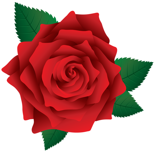 This png image - Red Rose PNG Image Clipart, is available for free download