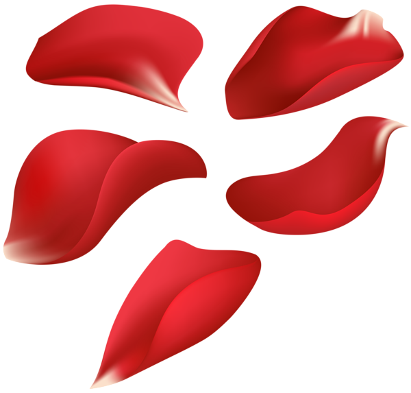 This png image - Red Rose Petals Transparent Clip Art Image, is available for free download