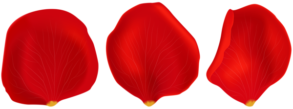This png image - Red Rose Petals Transparent PNG Clip Art, is available for free download