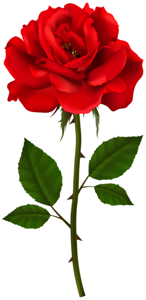 This png image - Red Rose Stem PNG Transparent Clipart, is available for free download