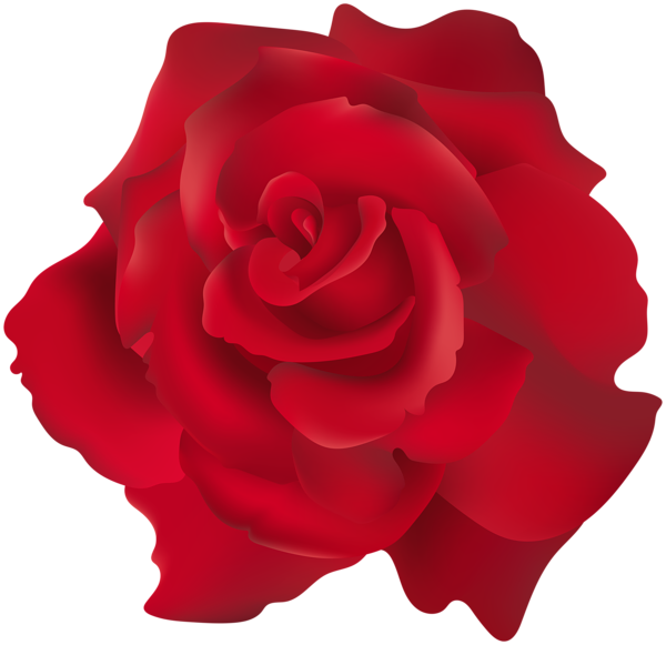 This png image - Red Rose Transparent Clip Art PNG Image, is available for free download