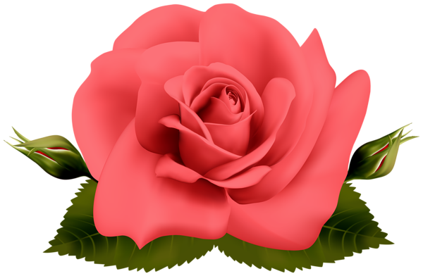 This png image - Red Rose Transparent Clipart Image, is available for free download