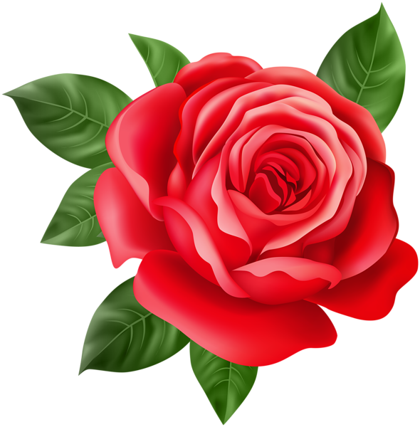 This png image - Red Rose Transparent PNG Clip Art, is available for free download