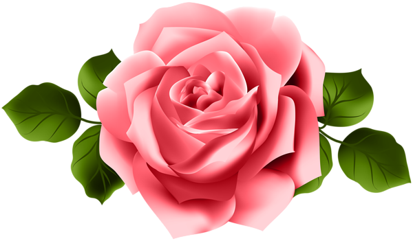 Red Rose Transparent PNG Clip Art | Gallery Yopriceville - High-Quality ...