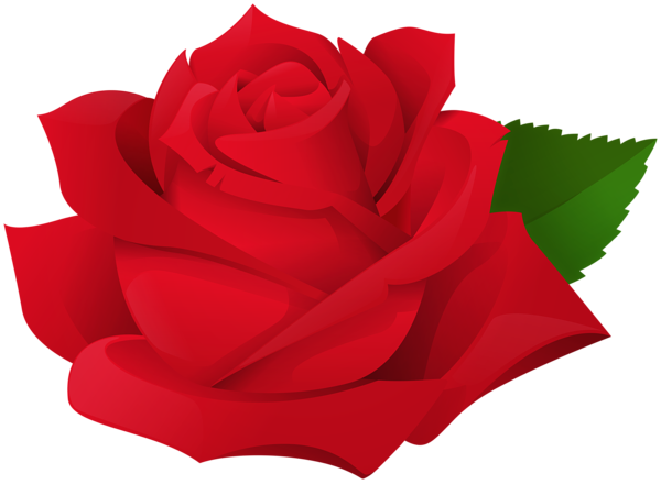 This png image - Red Rose Transparent PNG Clipart, is available for free download