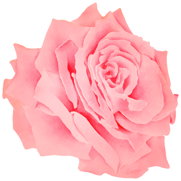 This png image - Red Rose Watercolor PNG Clipart, is available for free download