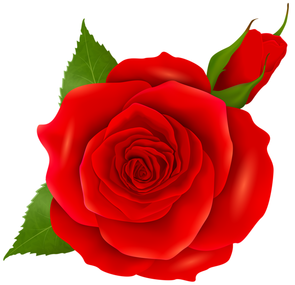 This png image - Red Rose and Bud Transparent PNG Clip Art, is available for free download