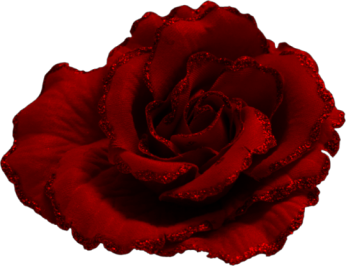 This png image - Red Rose with Brokat Clipart Picture, is available for free download