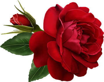 This png image - Red Rose with Bud Painted Clipart, is available for free download