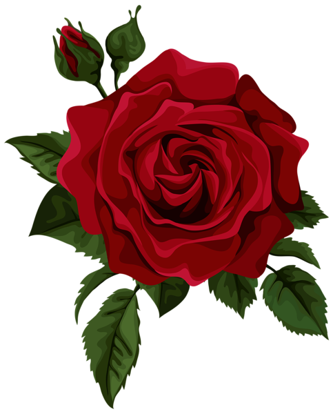 This png image - Red Rose with Bud Transparent PNG Clip Art Picture, is available for free download