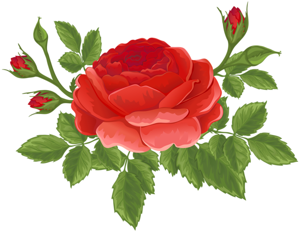 This png image - Red Rose with Buds PNG Clip Art Image, is available for free download