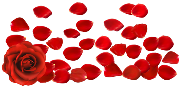 This png image - Red Rose with Petals PNG Clipart Picture, is available for free download