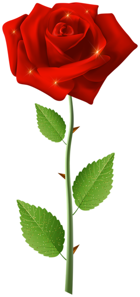 This png image - Red Rose with Steam Transparent Image, is available for free download