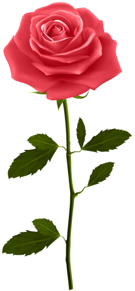 This png image - Red Rose with Stem PNG Clip Art, is available for free download