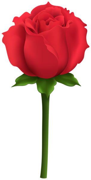 This png image - Red Rose with Stem PNG Clipart, is available for free download