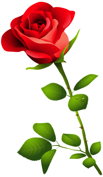 This png image - Red Rose with Stem PNG Clipart Image, is available for free download