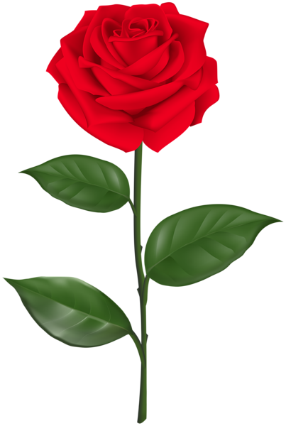 This png image - Red Rose with Stem Transparent Clipart, is available for free download