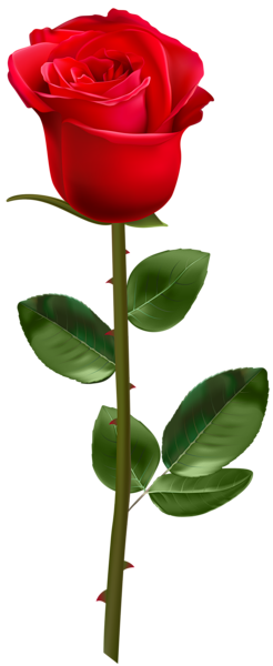 This png image - Red Rose with Stem Transparent Image, is available for free download