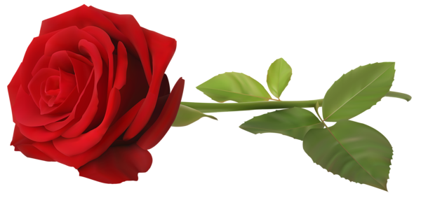 This png image - Red Rose with Stem Transparent PNG Clip Art Image, is available for free download