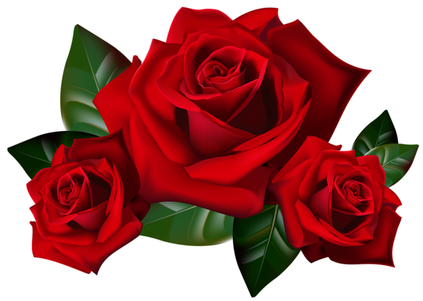 This png image - Red Roses PNG Clipart Picture, is available for free download