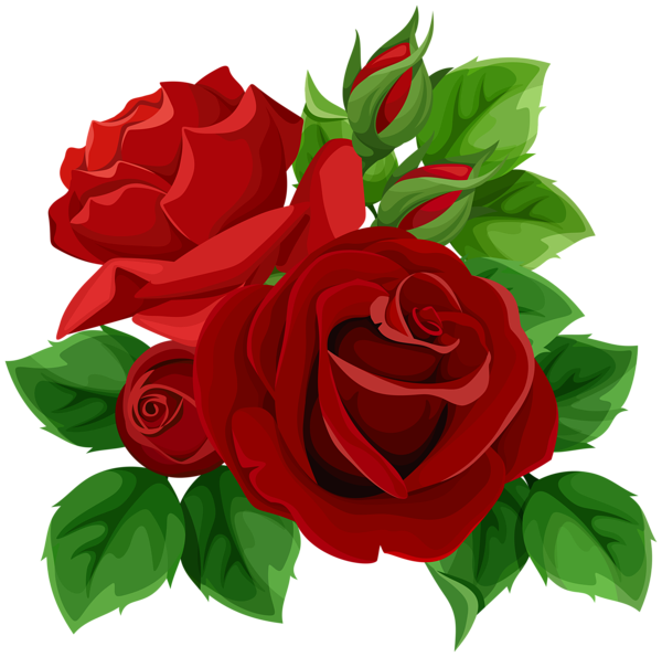 This png image - Red Roses PNG Transparent Image, is available for free download