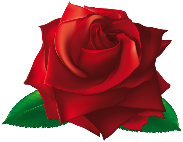 This png image - Red Single Rose PNG Clipart Image, is available for free download